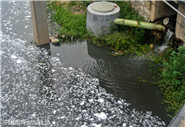 污水處理廠進水口水質、出水口水質12項必檢項目指標